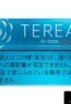 Terea Regular Heets