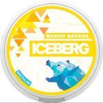 Iceberg Nicotine Pouches in Dubai