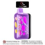 VOZOL Rave 40000 Puffs 5% Disposable Vape In Dubai