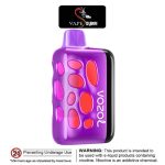 VOZOL Rave 40000 Puffs 5% Disposable Vape In Dubai