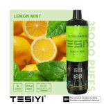TESIYI 35000 Puffs Disposable Vape In Dubai