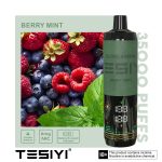 TESIYI 35000 Puffs Disposable Vape In Dubai