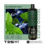 TESIYI 35000 Puffs Disposable Vape In Dubai