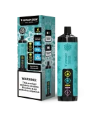 Vapgo Bar 30000 Puffs Chill Shisha Disposable Vape in Dubai